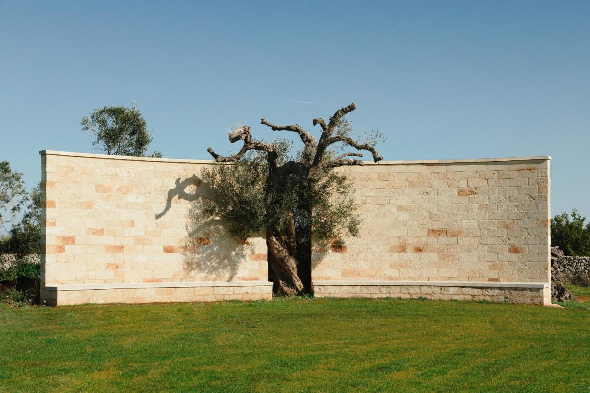 Secolario Masseria Del Viverbene Palmariggi 외부 사진