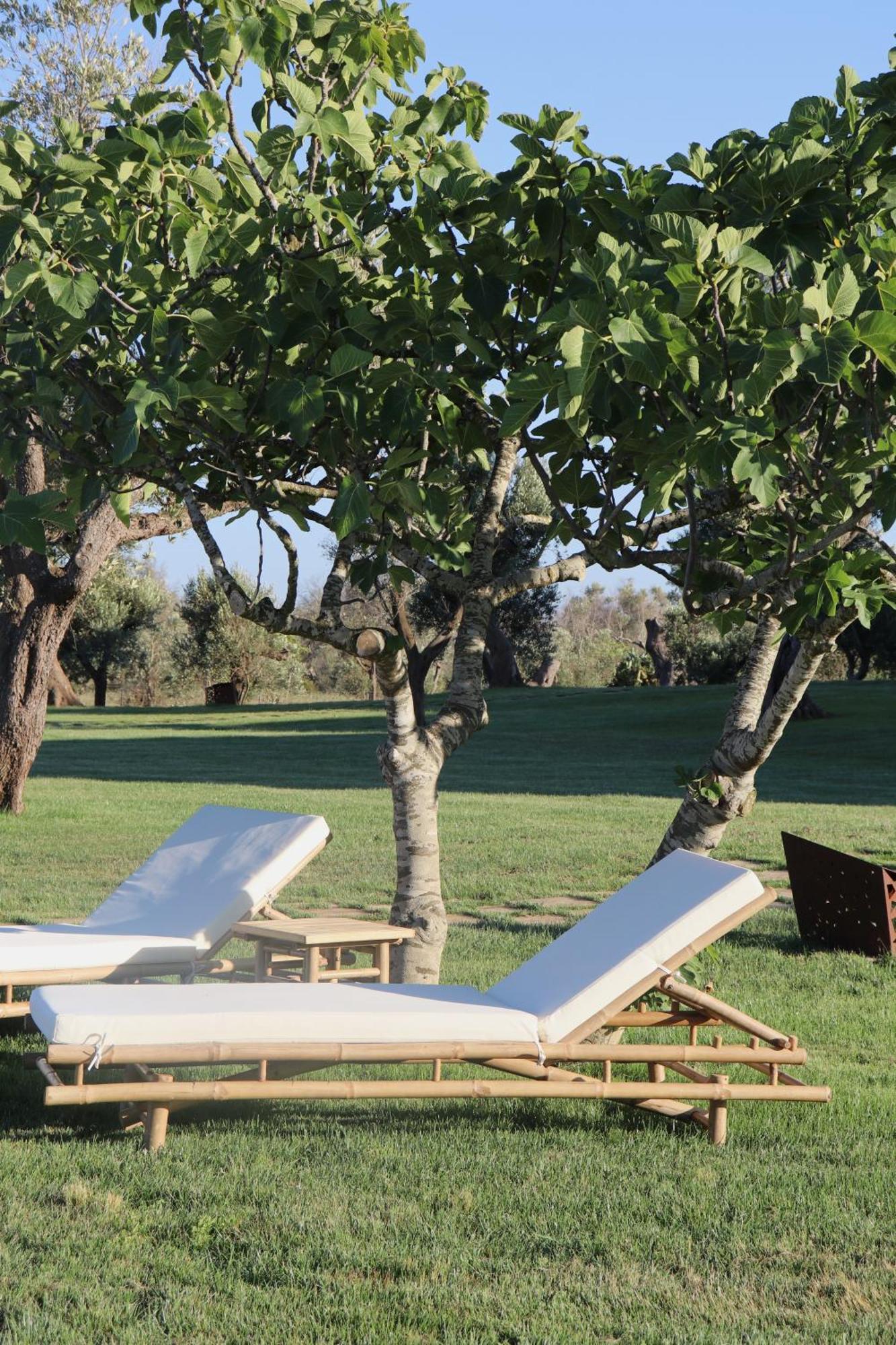 Secolario Masseria Del Viverbene Palmariggi 외부 사진