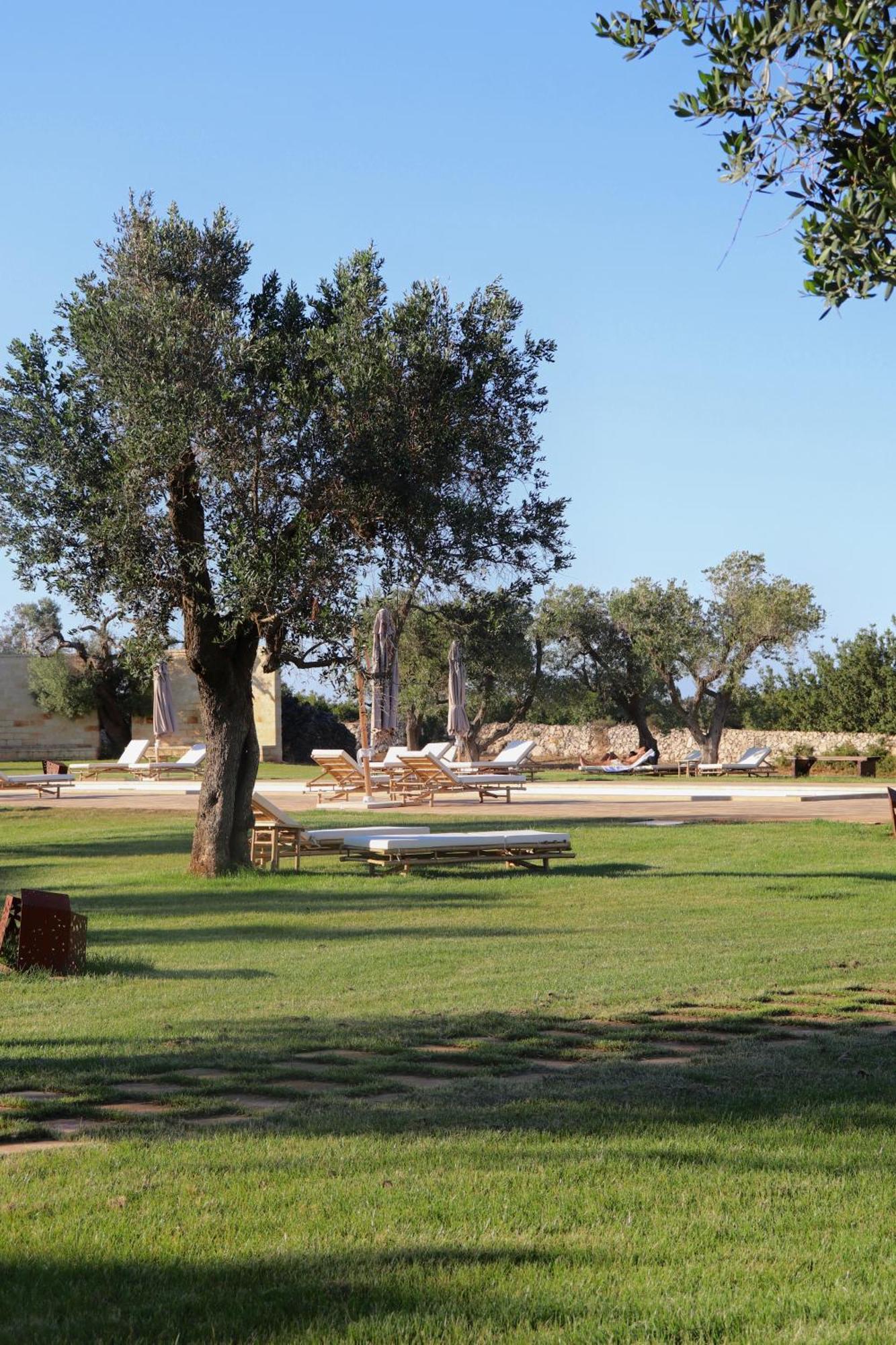 Secolario Masseria Del Viverbene Palmariggi 외부 사진